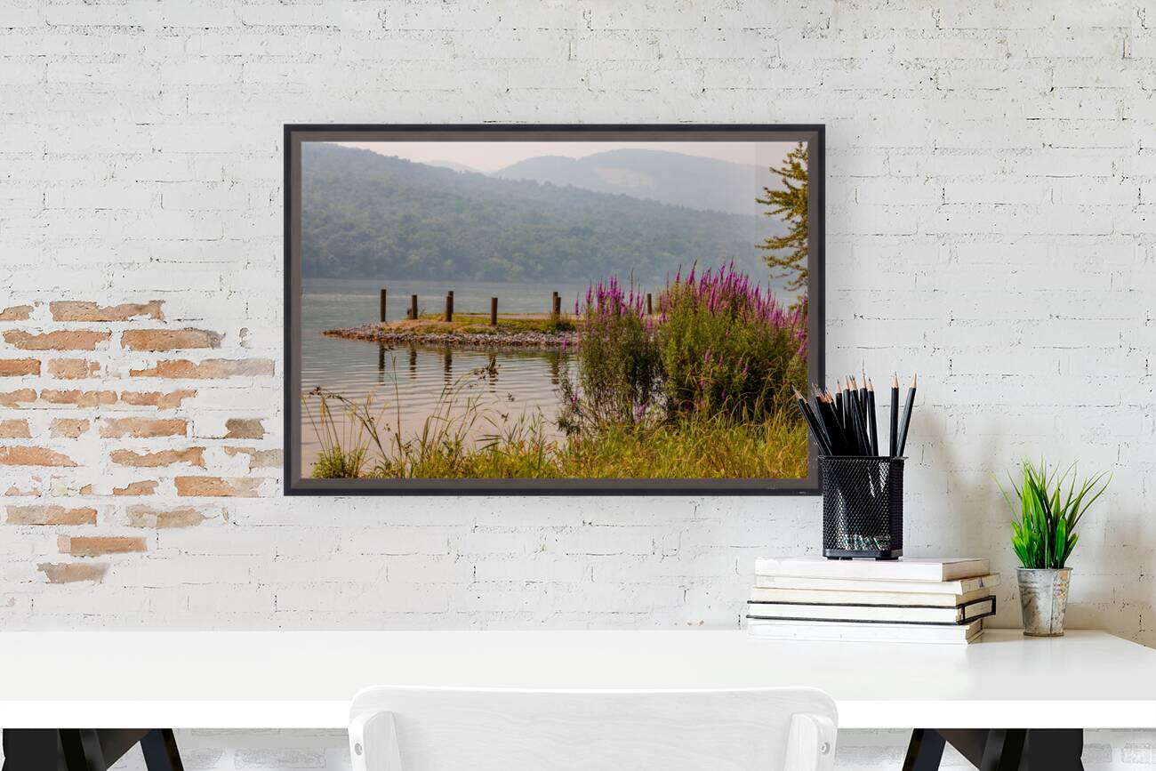 Lakeside Violet Reproduction