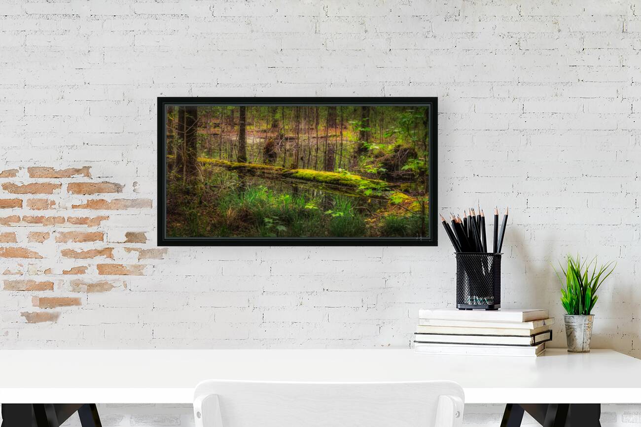 Mossy Log Reproduction