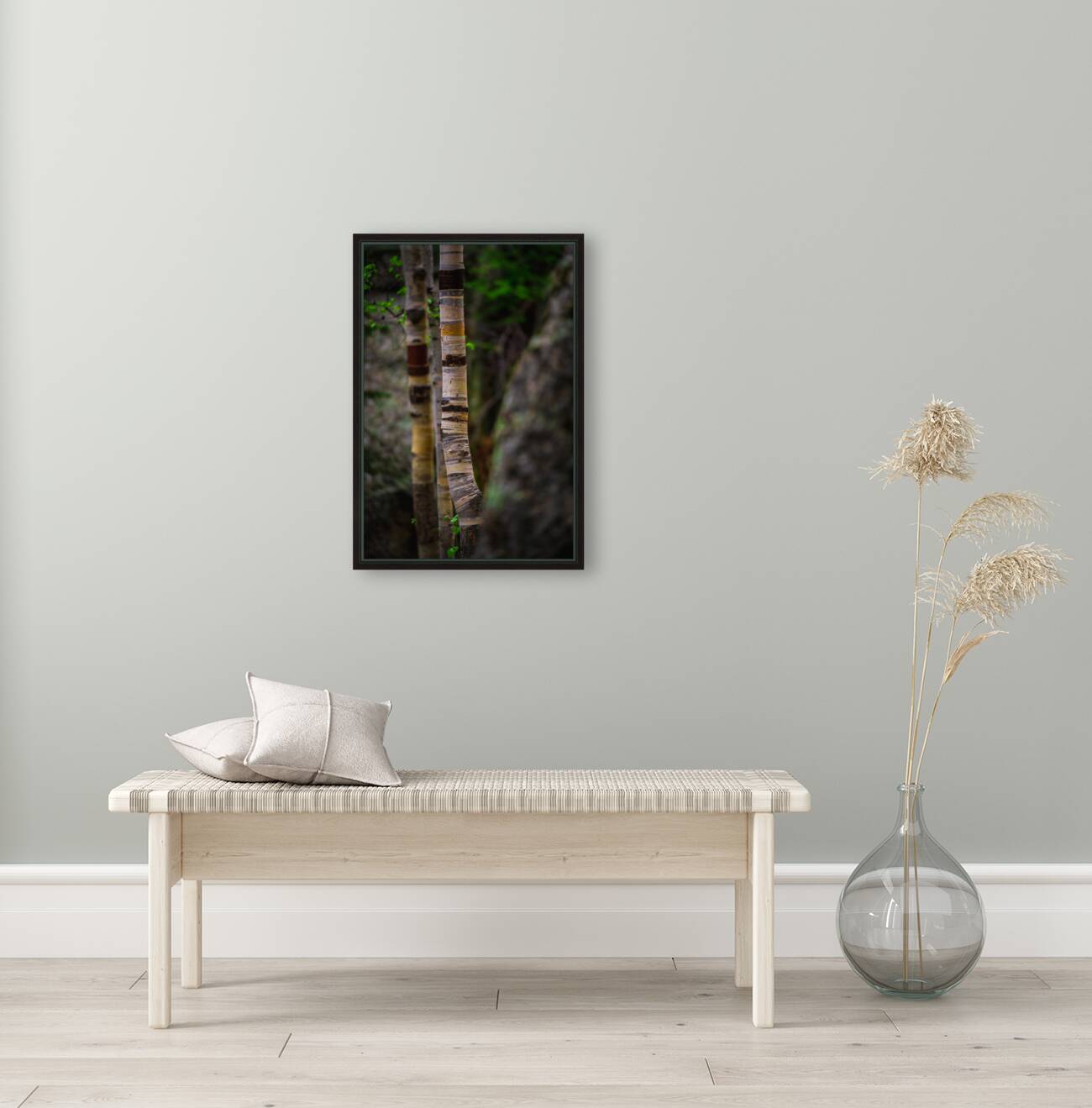 Exploring Sylvan Lake: Capturing the Beauty of Aspen Bark Reproduction