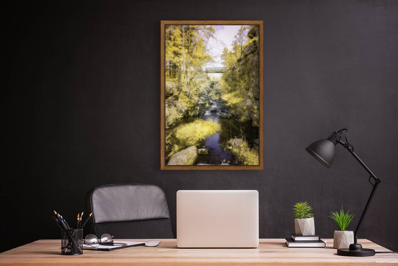 Bismarcks Golden Gateway Reproduction