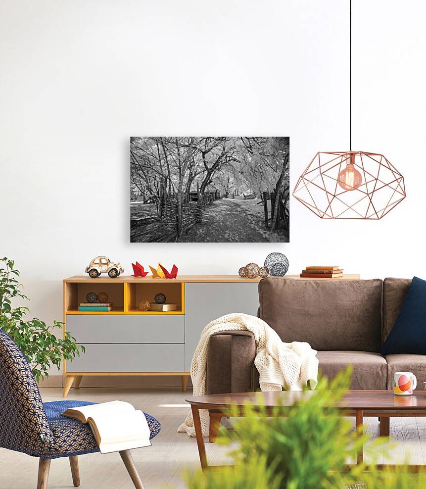 Farm path - 2 Reproduction