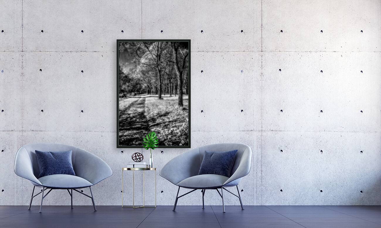 Enchanted Pathways: A Monochrome Overture Reproduction