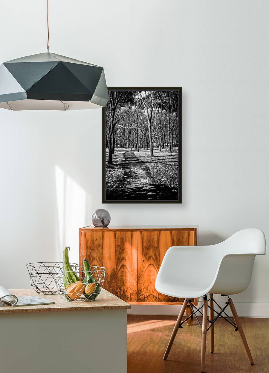 Solitary Trails: Eerie Path Near Knoxville Reproduction