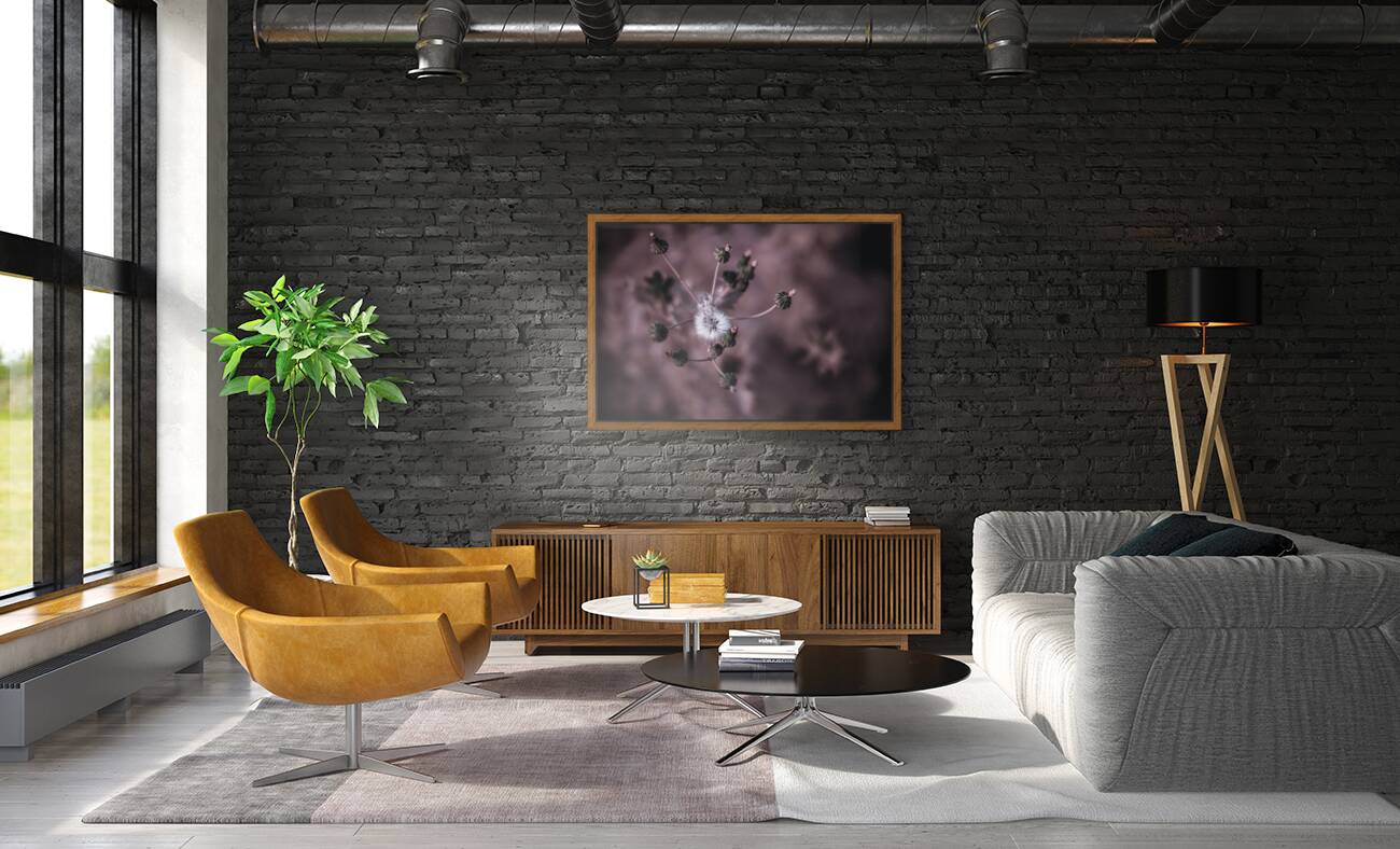 Whispers of Nature: Capturing the Essence of Dandelion Seeds Reproduction