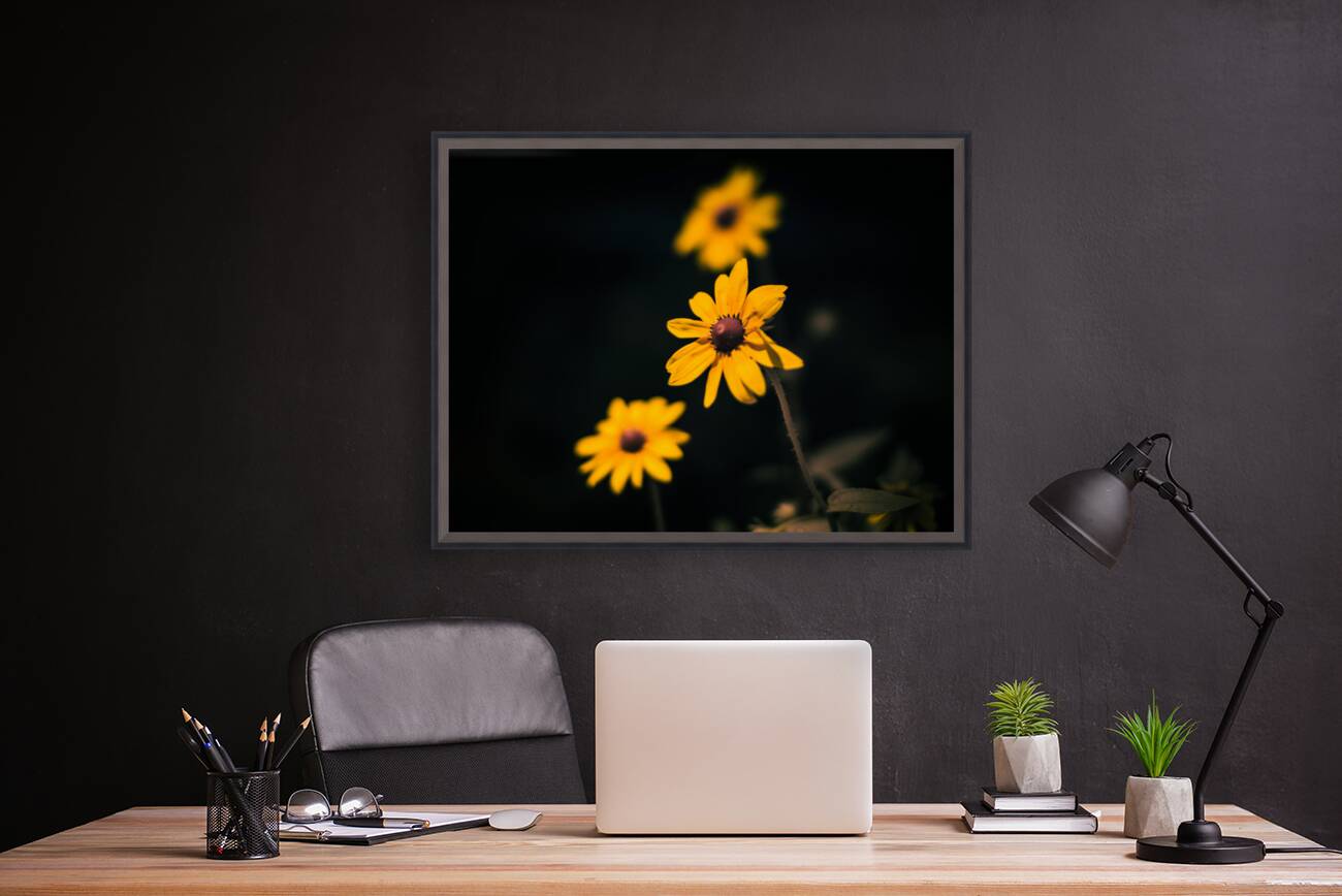 Natures Palette: Full Spectrum Imagery Showcasing Tennessees Black-Eyed Susan Blossoms Reproduction