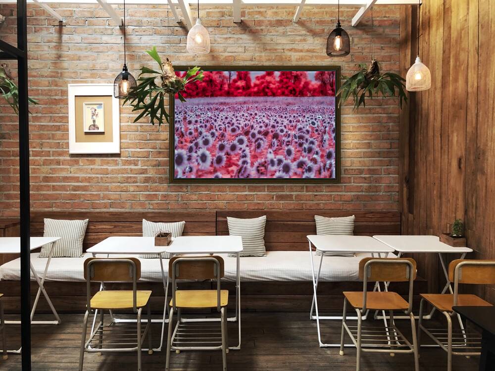 Pink Sunflowers Reproduction