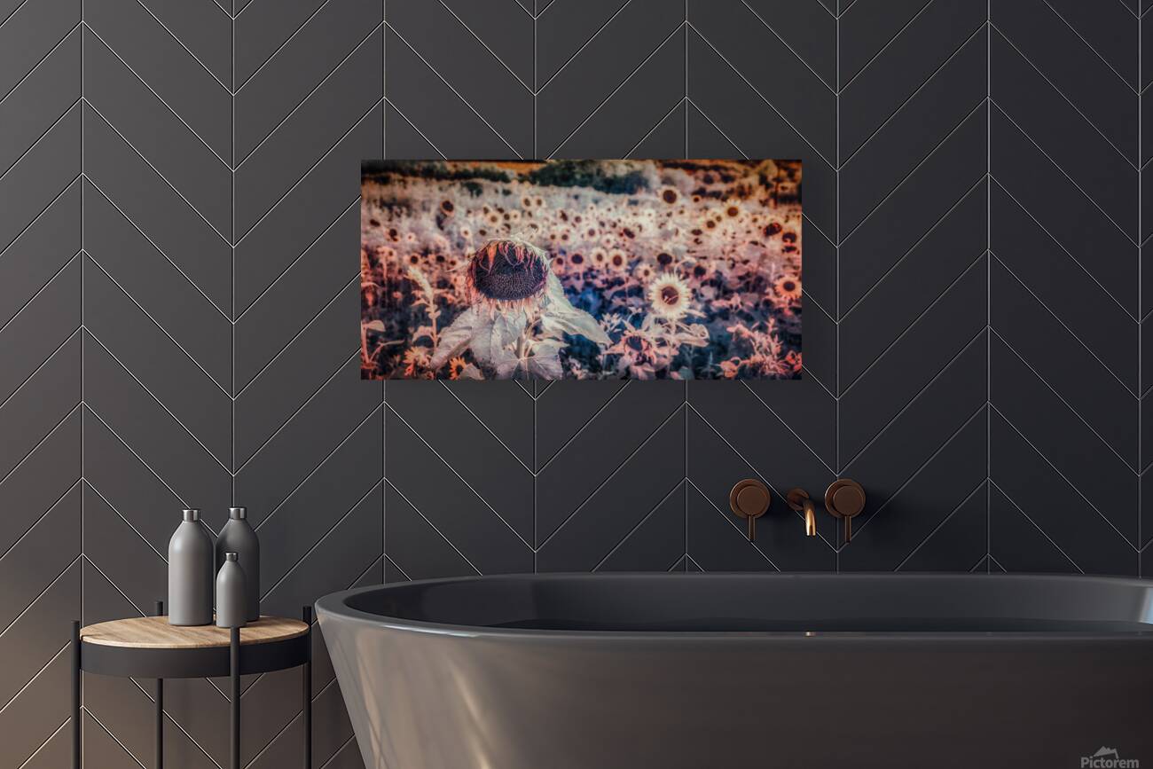 Sunflowers Last Waltz Reproduction