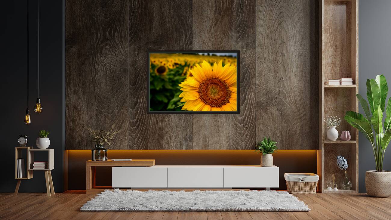 Corner Sunflower: A Radiant Touch of Natures Beauty Reproduction