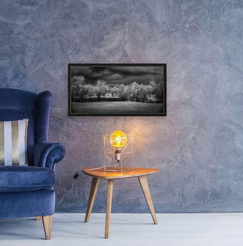 Moody Moments: Texas Roadside Pond Reproduction