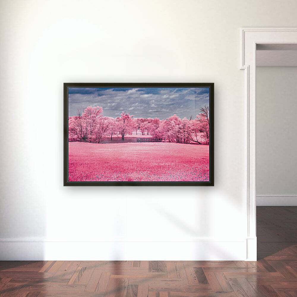 Exploring Texas: A Cotton Candy Roadside Pond Reproduction