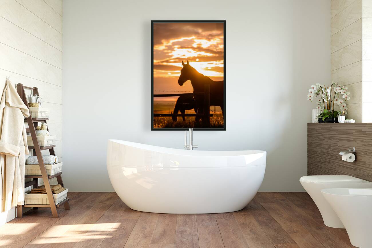 Sunset Silhouette: Portrait of Ernie Reproduction