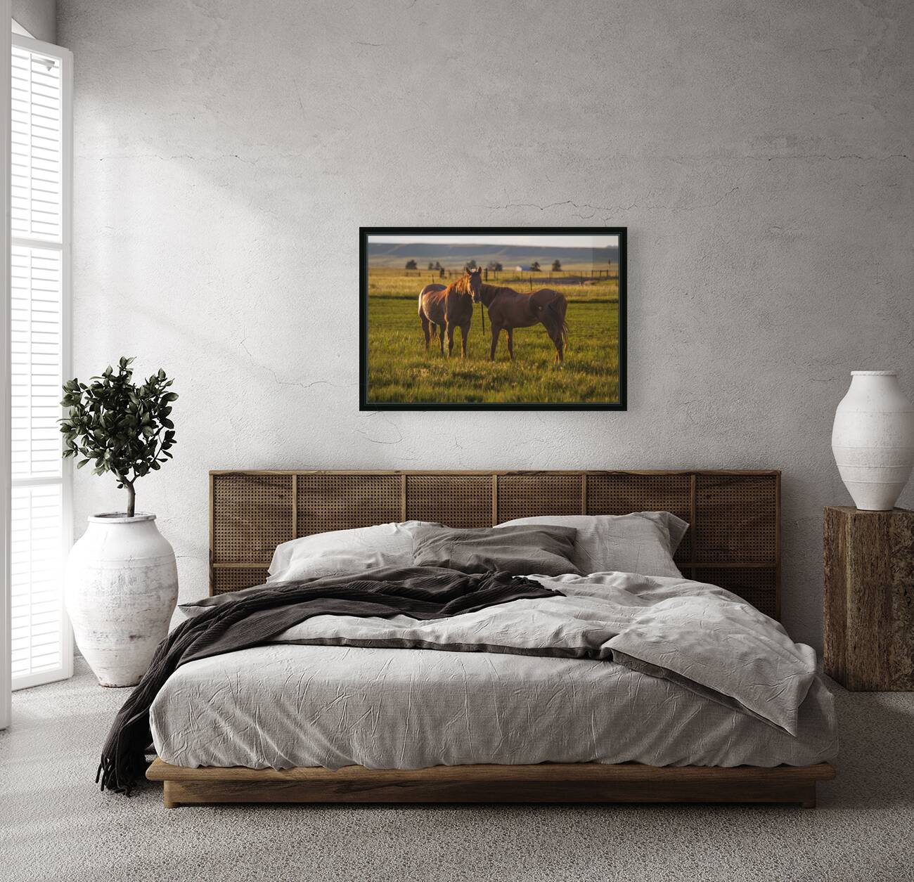 Equine Harmony in Billings Reproduction