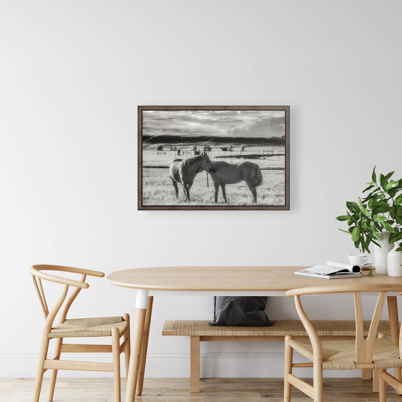 Equine Connection Reproduction