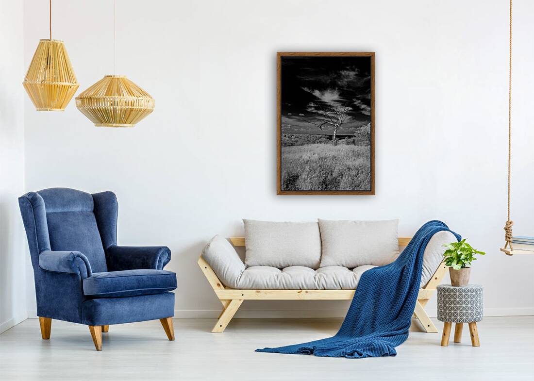 Symphony of Light and Shadow Reproduction