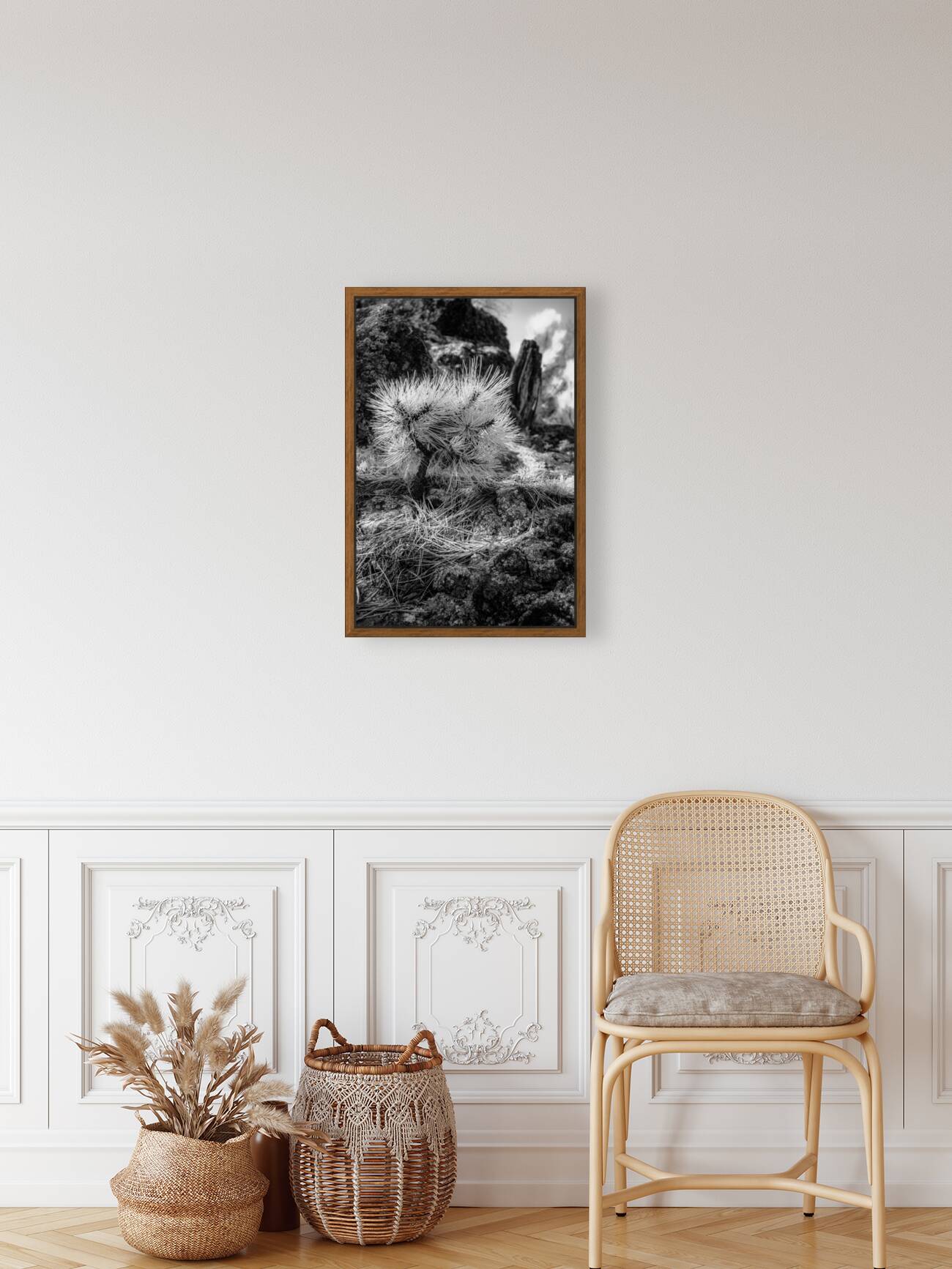 Exploring Sylvan Lake: A Baby Pine Reproduction