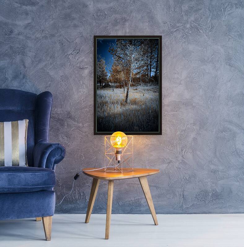 Golden Aspen Reproduction