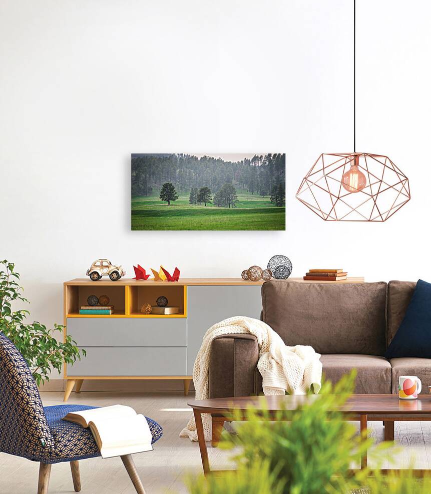 Serene Countryside Dreams  Reproduction