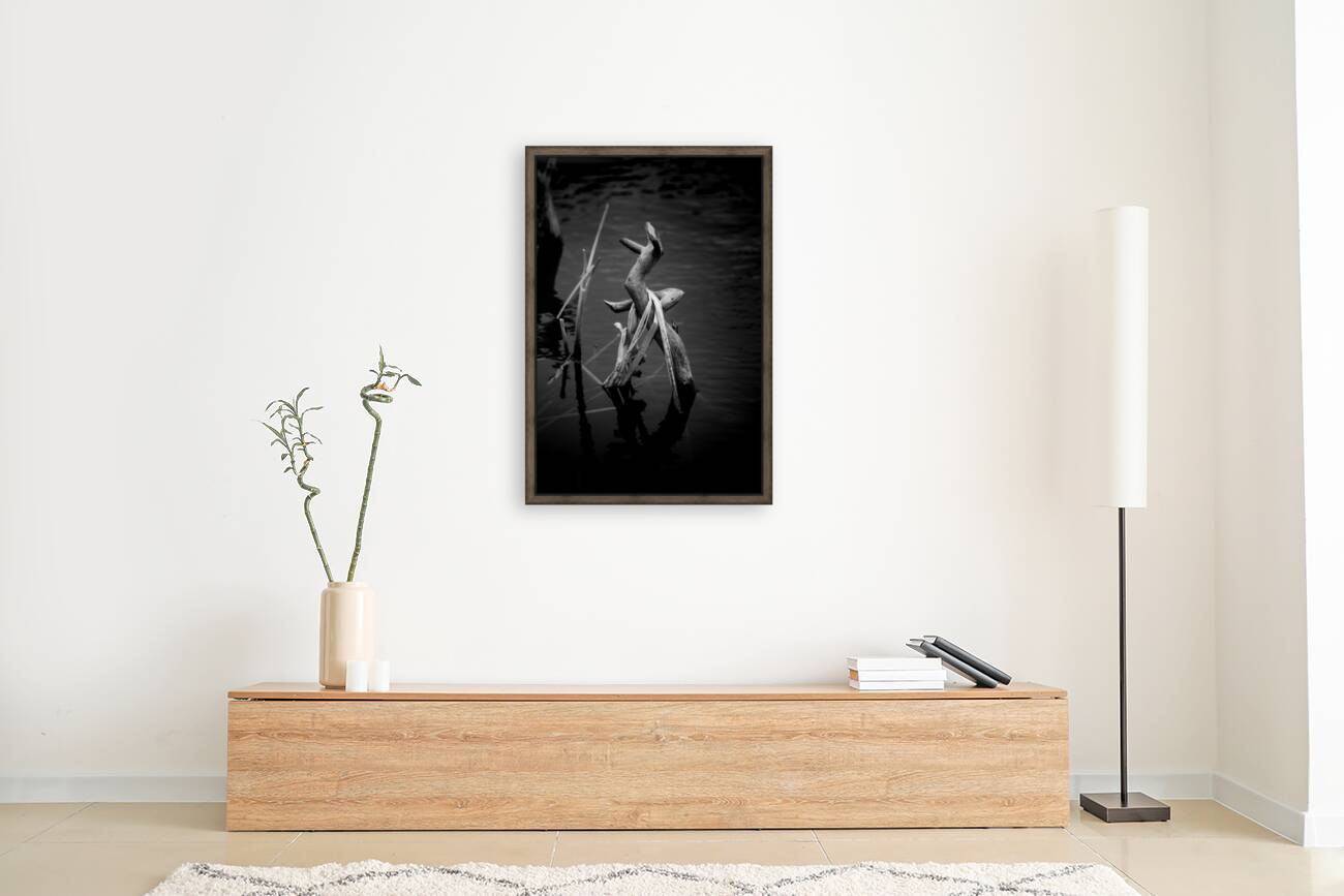 Sylvans Skeleton Waltz Reproduction