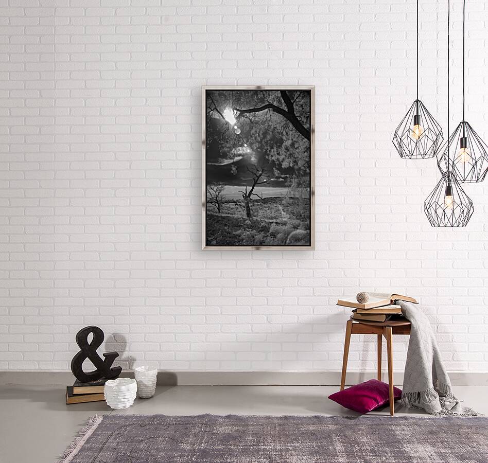 Dance of Light: Lone Sentinel at Dawn Reproduction