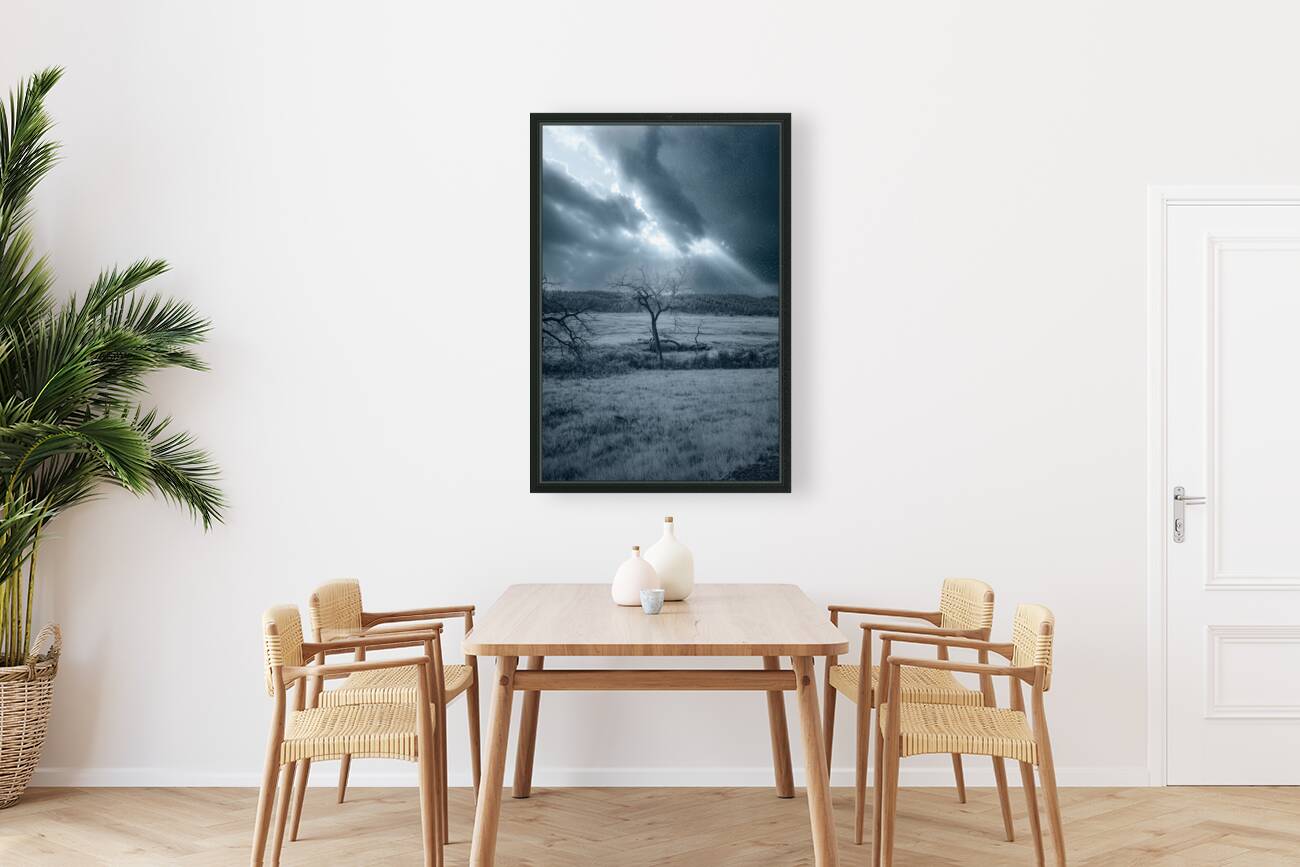 Solace in Solitude: A Blue Lighted Tree in Infrared Reproduction