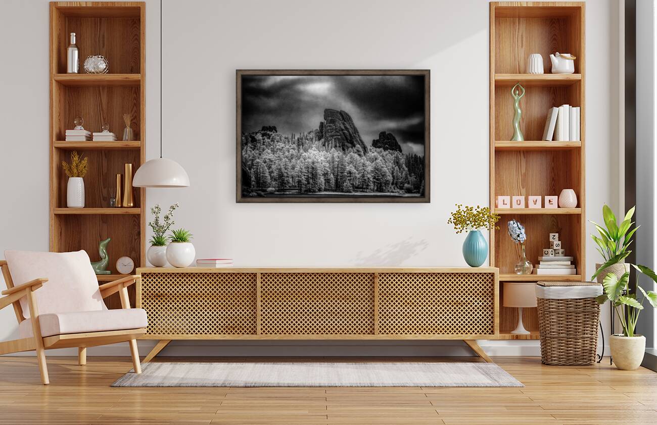 Sylvan Shadows: A Moody Encounter with Natures Drama in Custer State Park Reproduction