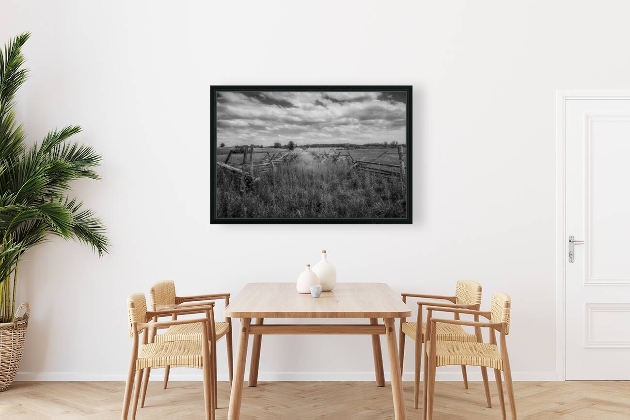 Pastoral Passage: Overgrown farm lane in Gettysburg Reproduction