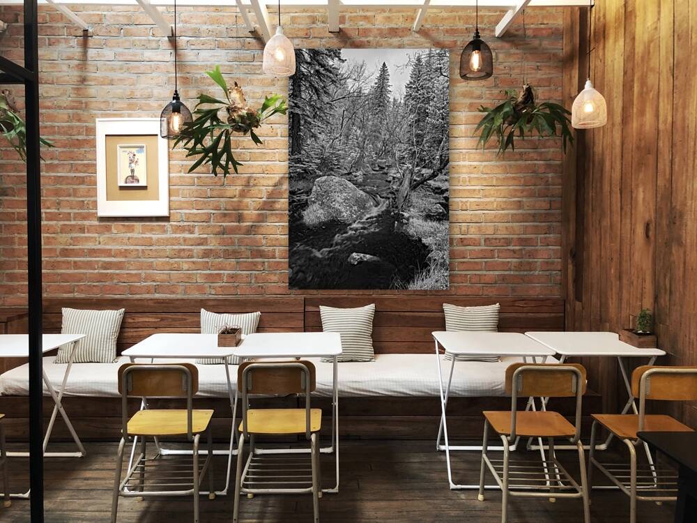 Monochromatic Serenity: Exploring Grace Coolidge Creek in Custer - Tall Reproduction