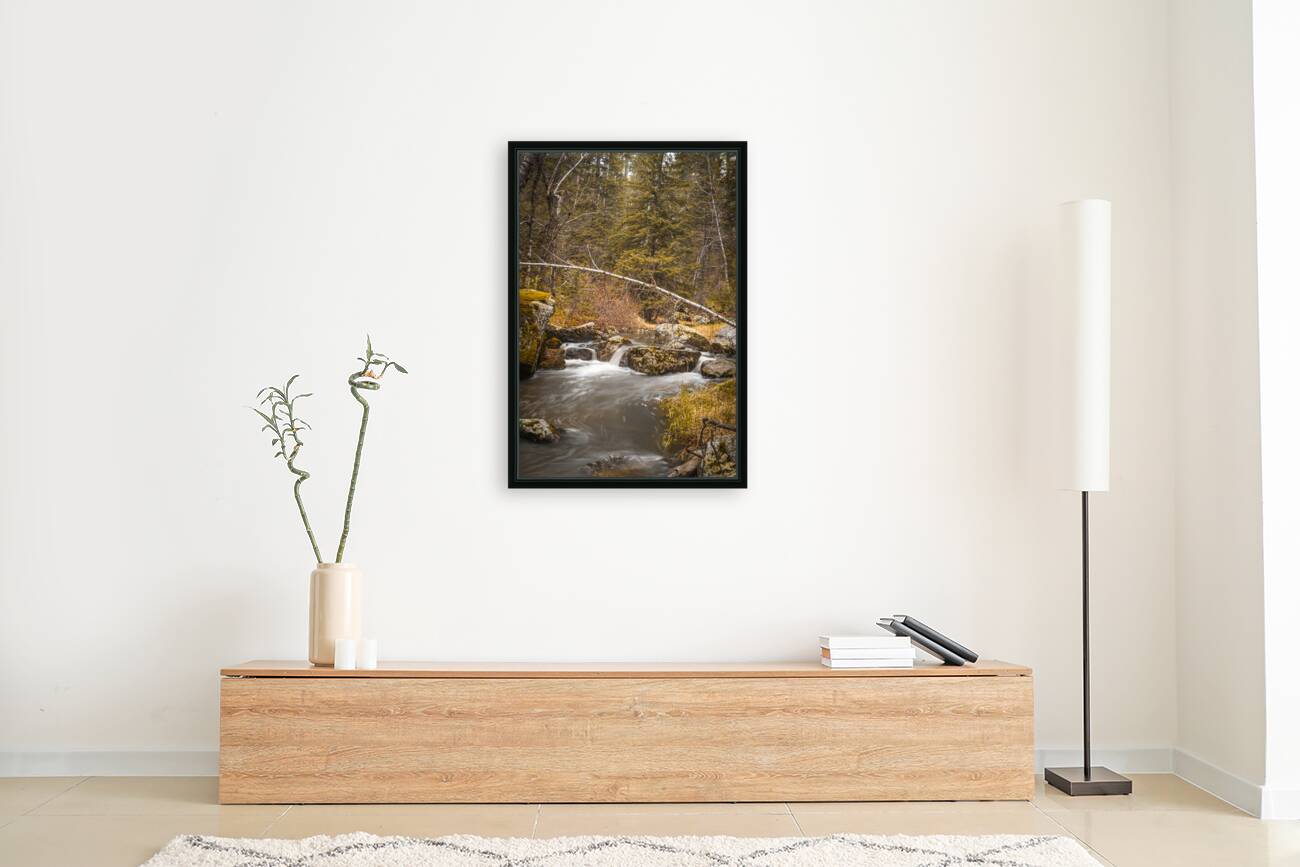 Enchanting Cascades: A Hikers Discovery Along Grace Coolidge Creek Reproduction