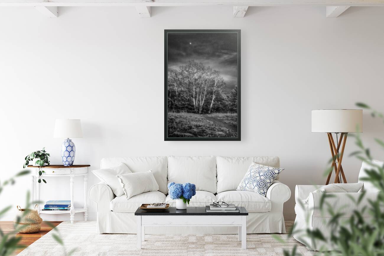 Mueller Aspen Series: Aspen Moon Reproduction