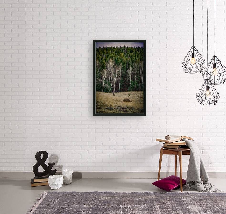 Mueller Aspen Series: Twilight Whispers Reproduction