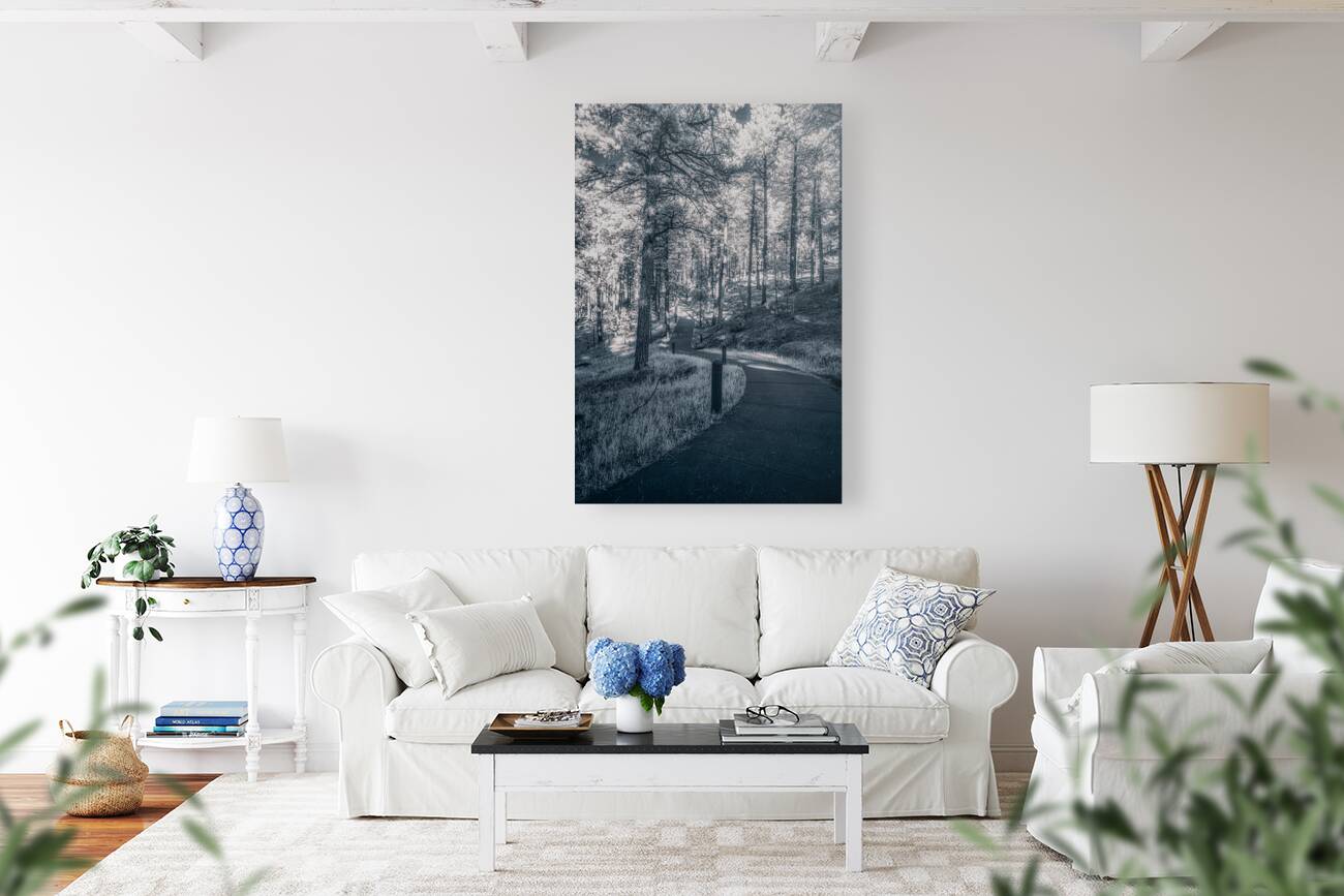 Mount Rushmore: Path Below the Monument in Infrared Magic Reproduction