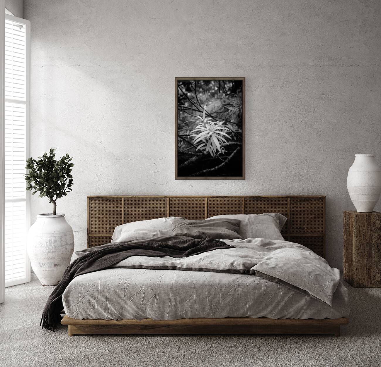 Rainy Day Wonders: Exploring Saint Marys Parks and the Intriguing Palm Tree Shoot Reproduction