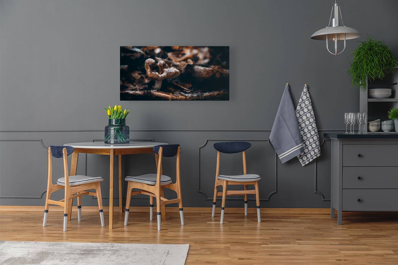 Mystical Fungi: Quiet Contemplation The Sullen Fungus Reproduction