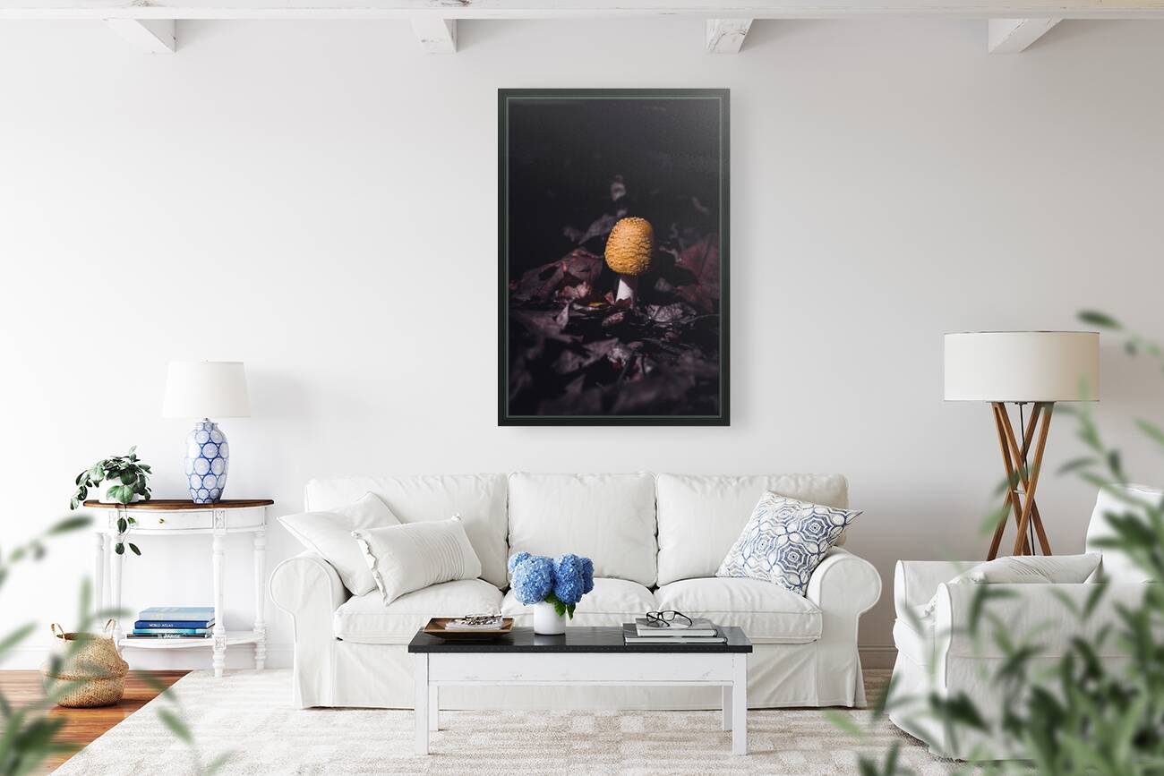 Mystical Fungi: Helmet among the Dead Leaves Reproduction