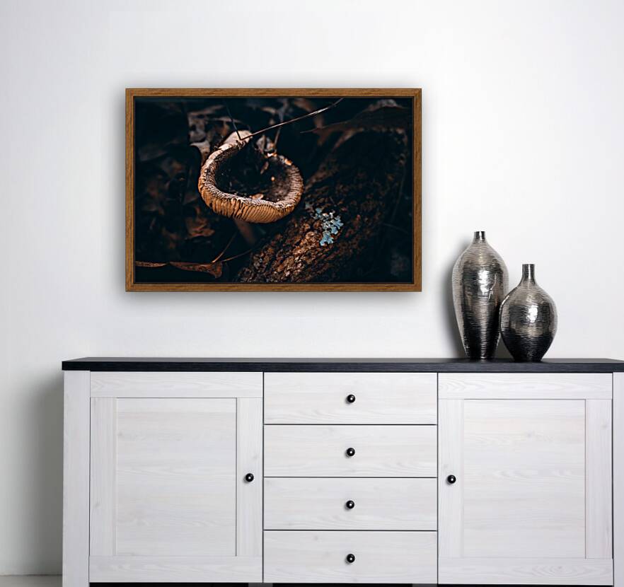 Mystical Fungi: Cupped in the Autumn Woods Reproduction