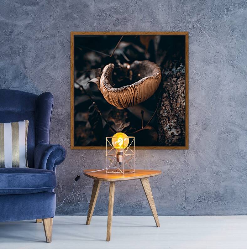 Mystical Fungi: Cup of Wonder ShrumCup Mushroom Reproduction