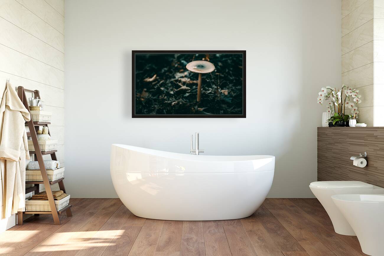 Mystical Fungi: Standing Tall The Majestic Tallish Mushroom Reproduction