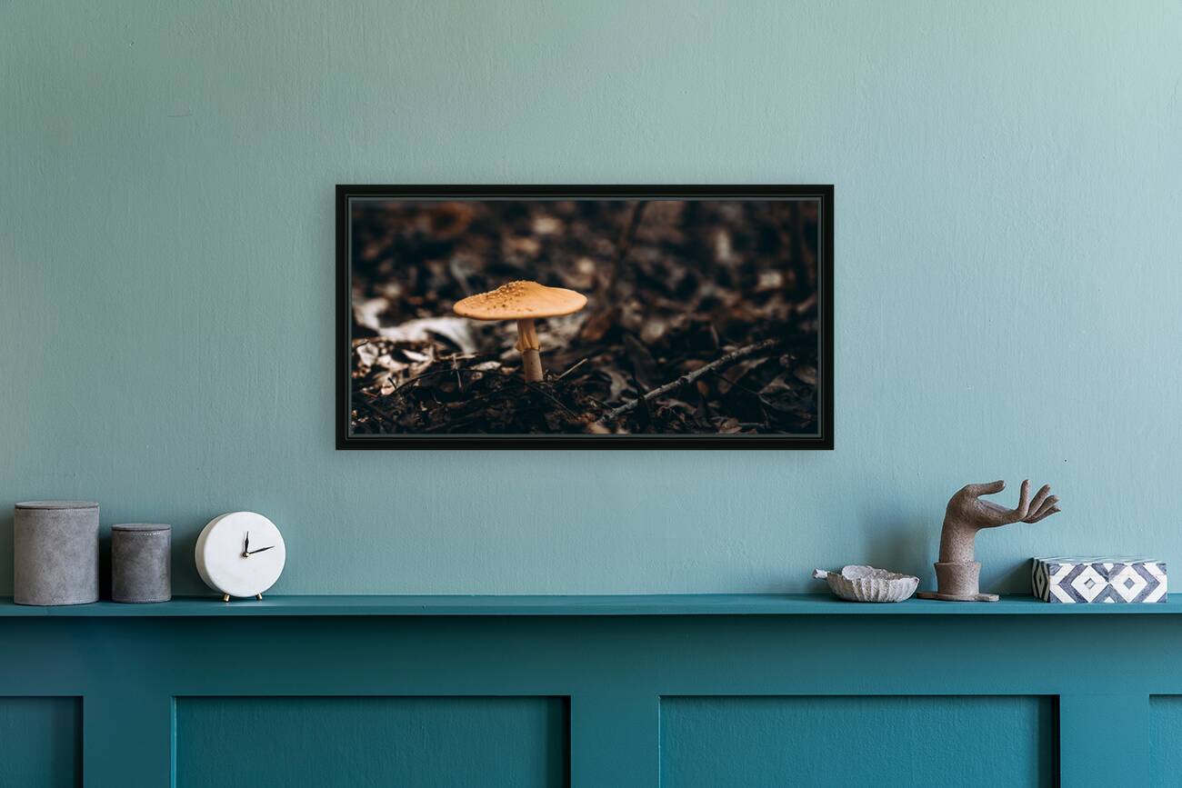 Mystical Fungi: Gloomy Shroom Reproduction