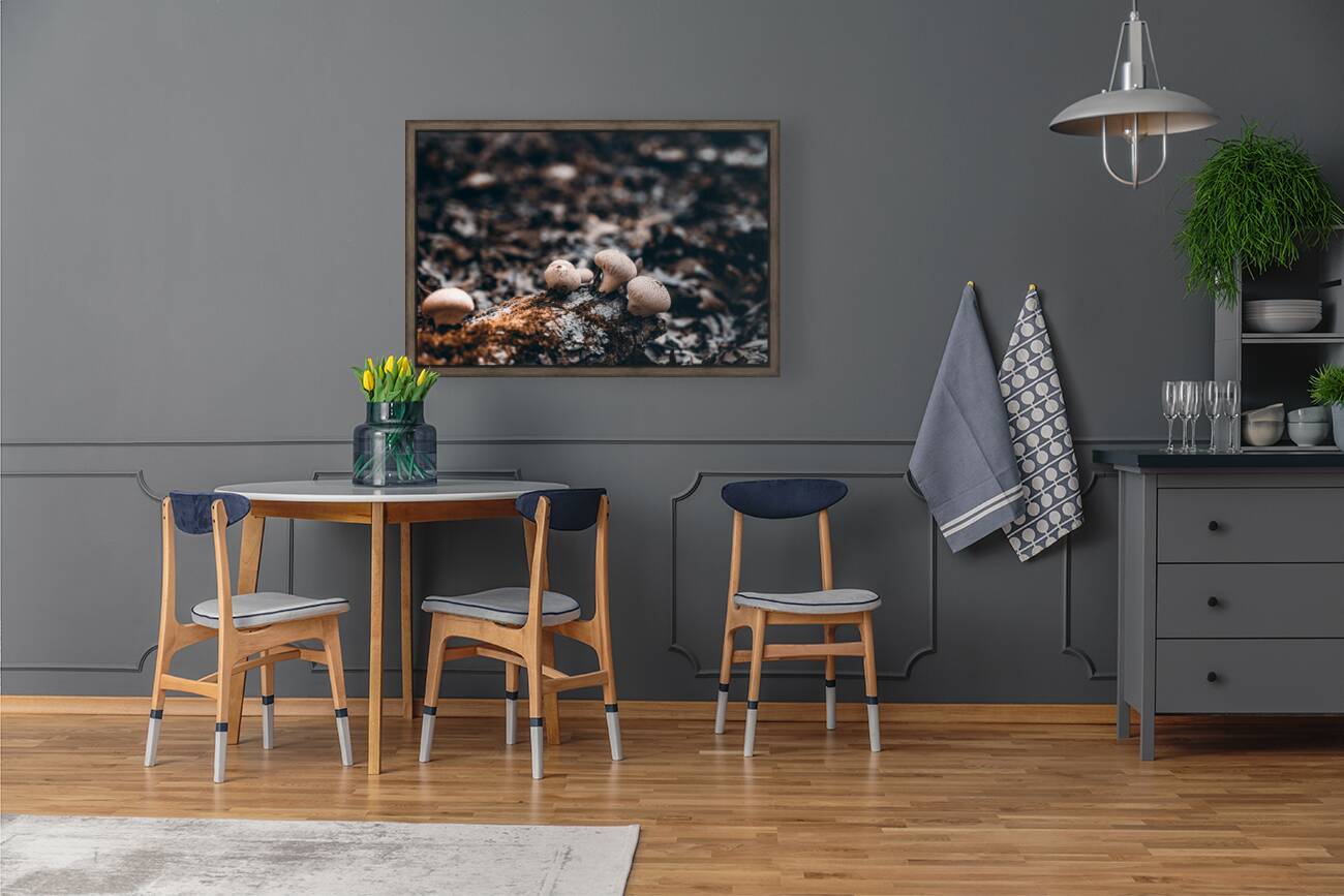 Mystical Fungi: Outer in the Tranquil Wilderness Reproduction