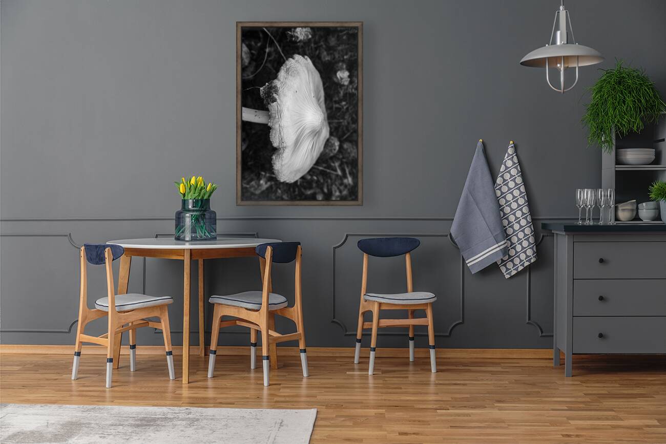 Montana Ranch Shroom: Valley Vista Toadstool Reproduction