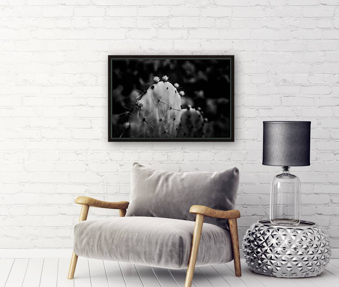 Ink and Thorn: Capturing the Essence of Texas Cacti Reproduction