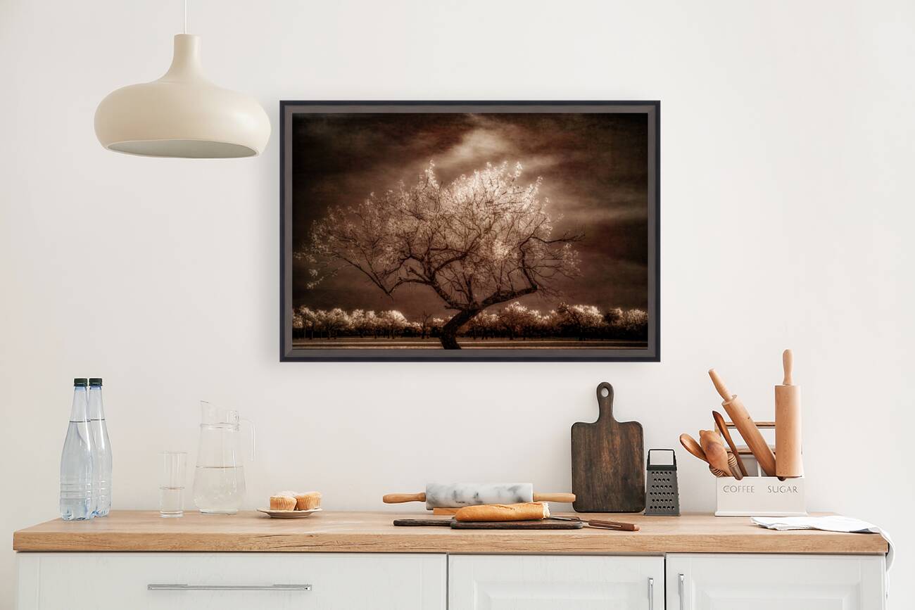  Twilight Tranquility: Capturing Natures Crown Light Splendor Reproduction