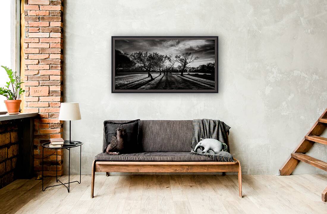 Twilight Stroll: Capturing Long Texas Shadows Reproduction