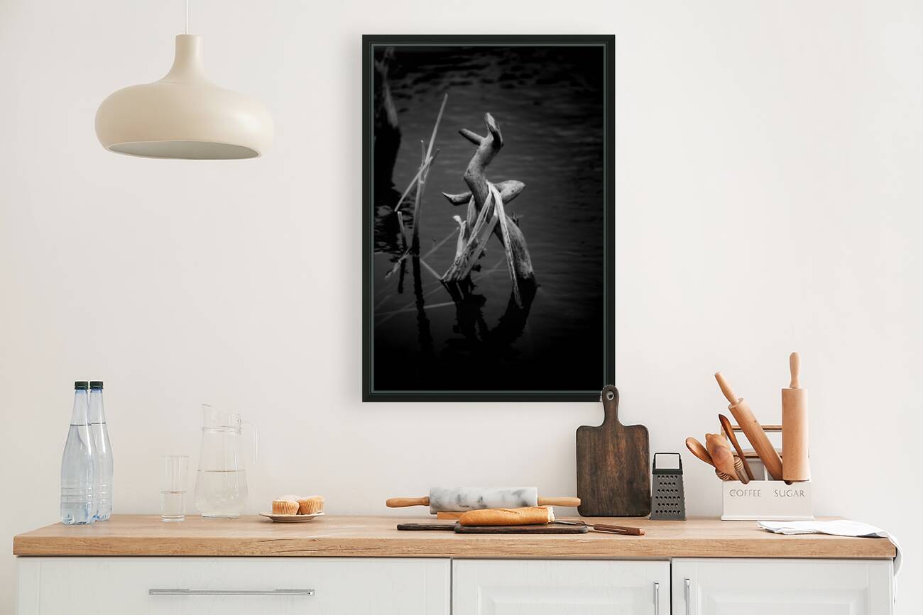 Serene Sylvan Lake: A Tale of Resilience and Reflection Reproduction