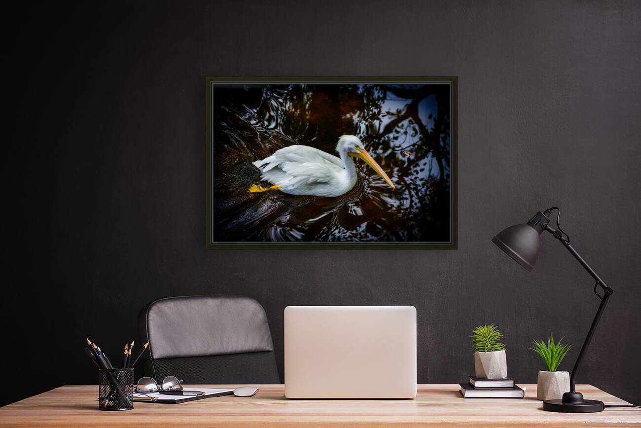 Florida Serenity: A Pelican Making Soft Waves Reproduction