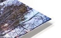 Mueller Aspen Series: Aspen Tree Trail HD Metal print