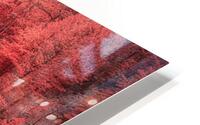 Cooliage Red Pond HD Metal print