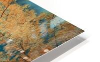 Tapestry of Light and Timber HD Metal print