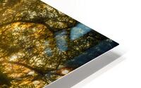 Golden Oak Light HD Metal print