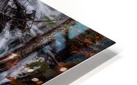 Liquid Light Through Natures Framework HD Metal print